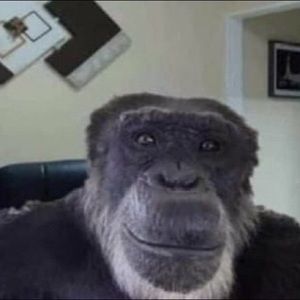 Meet your Posher, Pablo